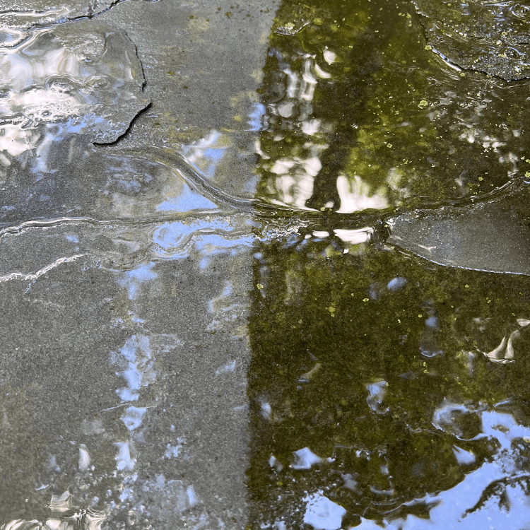 Pressure washing services in Ridgefield, CT