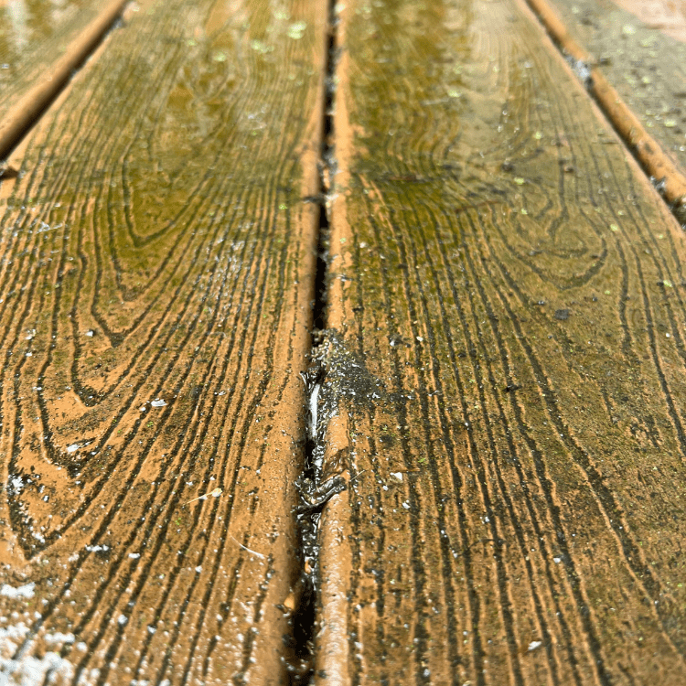 Pressure washing services in Ridgefield, CT