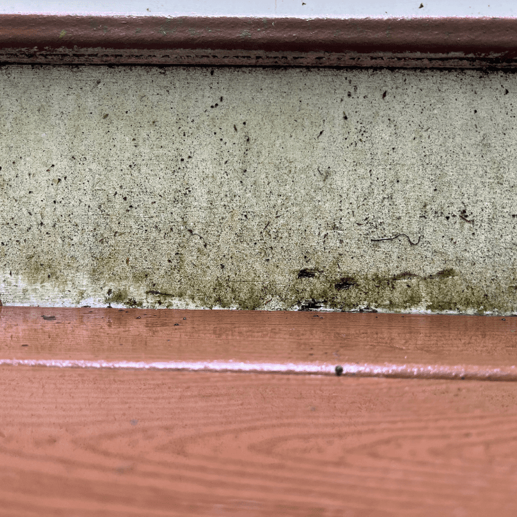 Pressure washing services in Ridgefield, CT